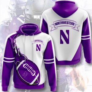 Northwestern Hoodie 3D